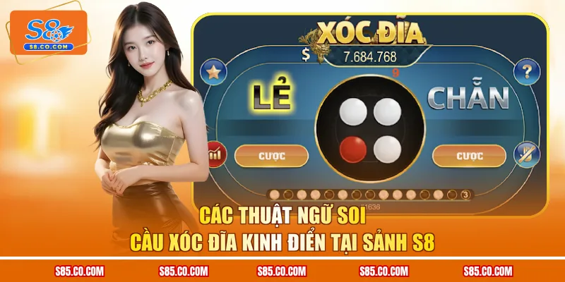 Các thuật ngữ soi cầu Xóc đĩa kinh điển tại sảnh S8