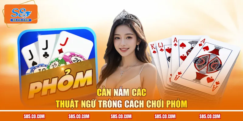 Cần nắm các thuật ngữ tròng cách chơi Phỏm
