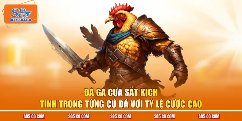 Đá Gà Cựa Sắt Kịch Tính Trong Từng Cú Đá Với Tỷ Lệ Cược Cao