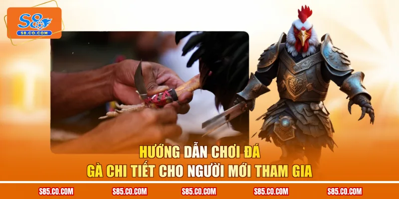 Hướng Dẫn Chơi Đá Gà Chi Tiết Cho Người Mới Tham Gia