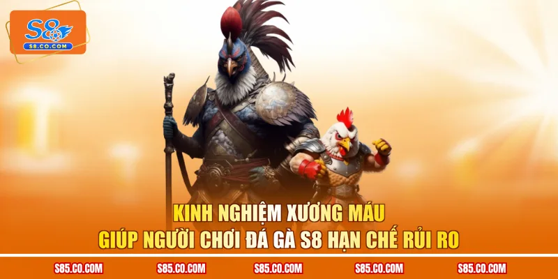 Kinh nghiệm xương máu giúp người chơi đá gà S8 hạn chế rủi ro 