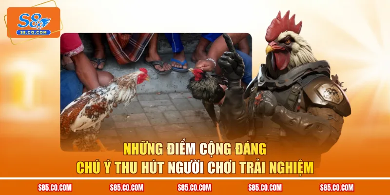 Những điểm cộng đáng chú ý thu hút người chơi trải nghiệm