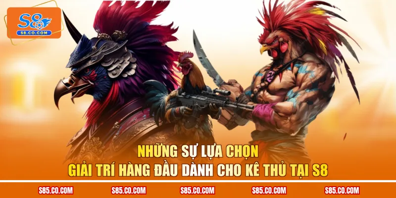 Những sự lựa chọn giải trí hàng đầu dành cho kê thủ tại S8