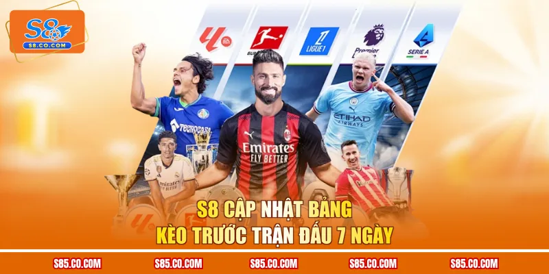 S8 cập nhật bảng kèo trước trận đấu 7 ngày
