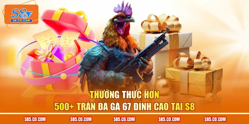 Thưởng thức hơn 500+ trận Đá Gà 67 đỉnh cao tại S8