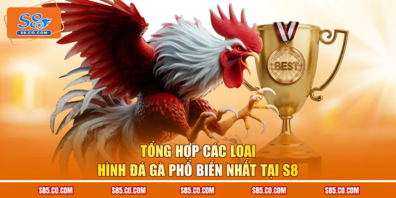 Tổng hợp các loại hình đá gà phổ biến nhất tại S8